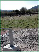 Les vignes recouvraient le site jusqu'en 1821 oú des fouilles réveillent le site antique et suscitent l'interêt des hommes pour ce passé enfoui.
