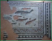 Mosaque de triclinium (salle à manger), aux poissons. Ce décor ornait le centre du sol mosaqué  de la domus nord du Pinard.