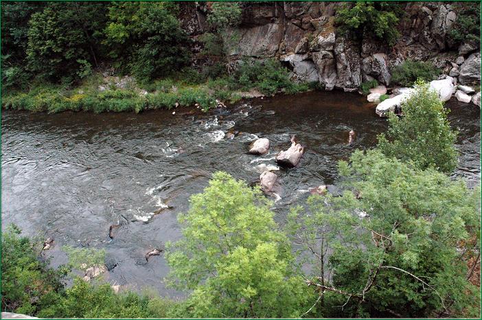 les gorges de l'Allier