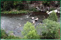 les gorges de l'Allier
