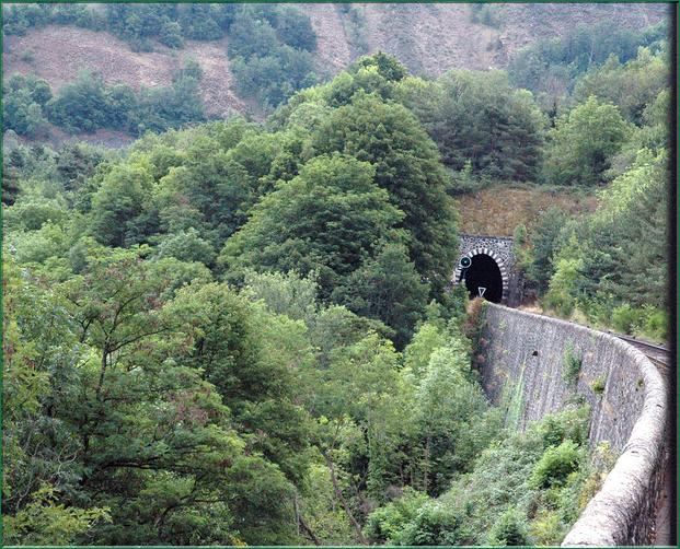 découpe le vert des forêts de chênes et de hêtres descendant jusquaux berges de l'Allier