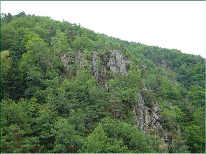 Dans les gorges sauvages, difficiles d'accès, présence de nombreux espèces de rapaces 