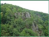 Dans les gorges sauvages, difficiles d'accès, présence de nombreux espèces de rapaces 