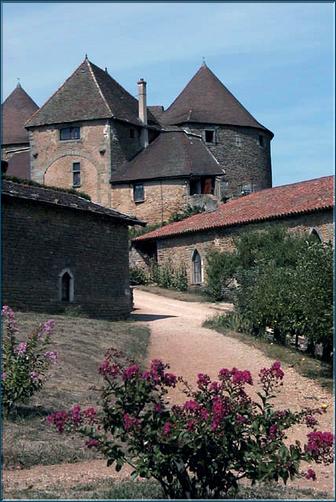 De nombreux bâtiments longeant à l'époque le dernier des troismurs d'enceinte protège la partie seigneuriale, certains demeurent encore.