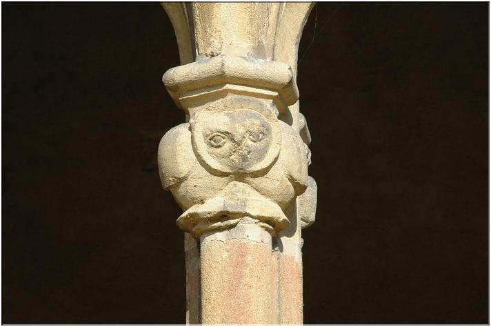 une chouette (sagesse, philosophie)