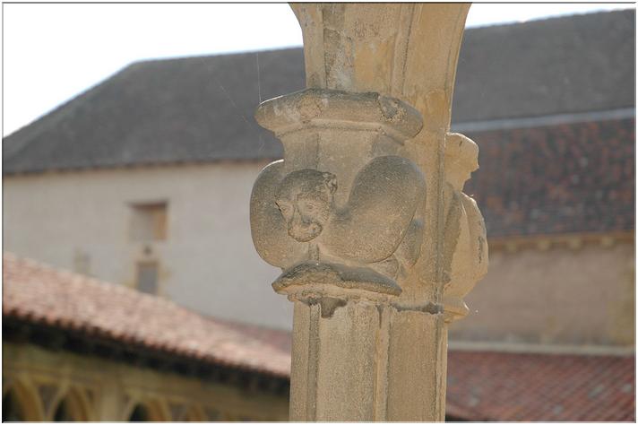 une hermine (pureté)